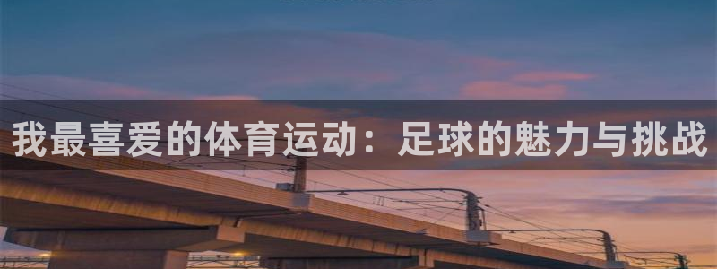3377体育官方正版app娱乐平台：我最喜爱的体育运
