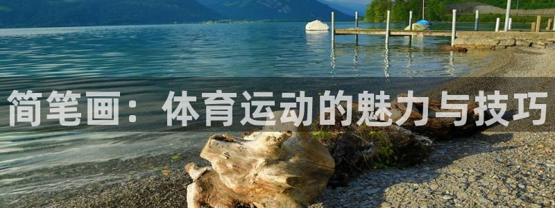 3377体育官网下载招商：简笔画：体育运动的魅力与技