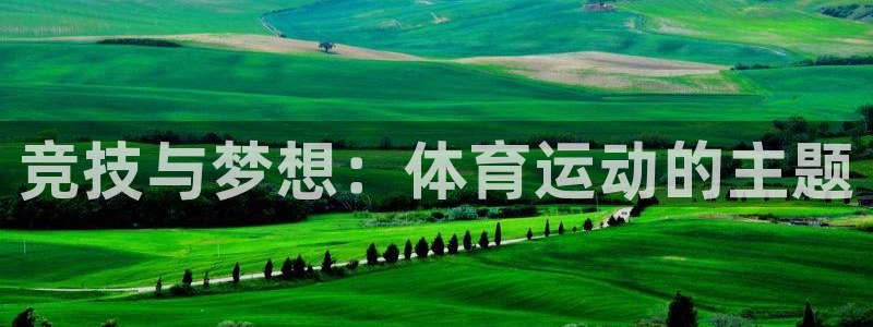 3377体育官方正版app科技：竞技与梦想：体育运动的主题
