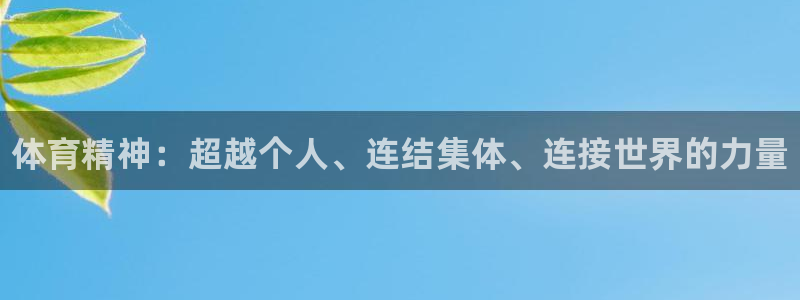 3377体育官方正版app集团：体育精神：超越个人、
