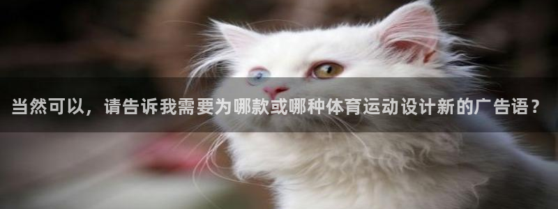 3377体育官方正版app娱乐首页网站大全：当然可以