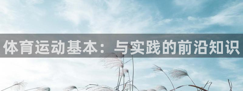 3377体育官方正版app代理：体育运动基本：与实践