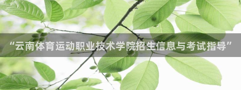 3377体育官网下载平台注册要钱吗：“云南体育运动职