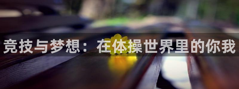 3377体育官方正版app科技：竞技与梦想：在体操世界里的你