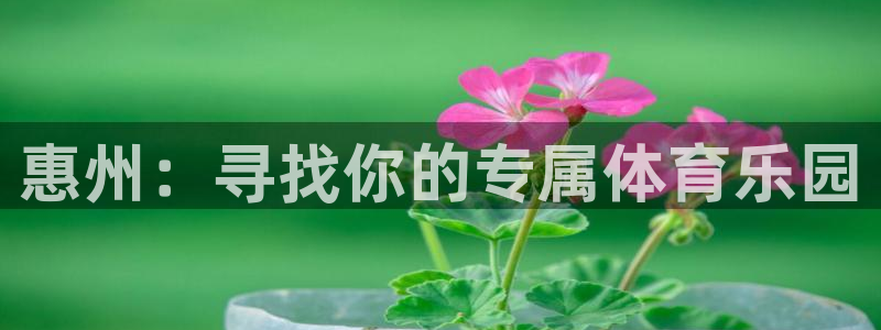 3377体育官网下载招商电话号码是多少啊：惠州：寻找你的专属
