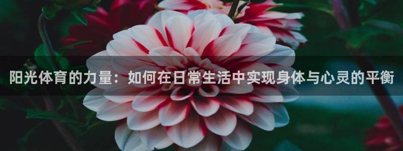 3377体育官方正版app代理：阳光体育的力量：如何