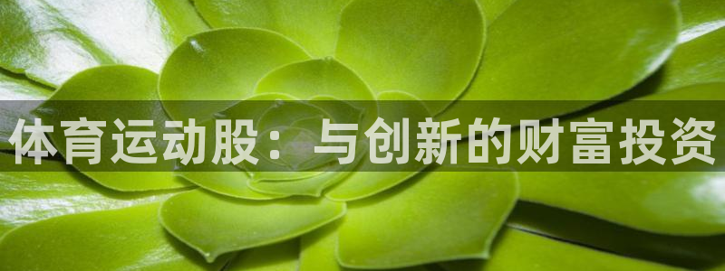 3377体育官方正版app集团E.ON