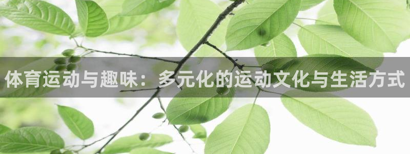 3377体育官网下载招商电话地址查询：体育运动与趣味