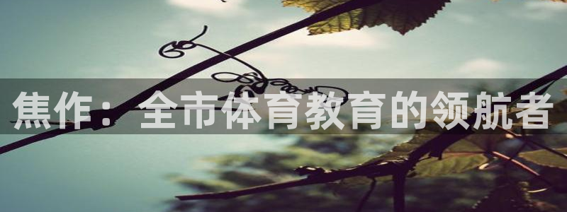 3377体育官网下载平台注册要钱吗安全吗：焦作：全市