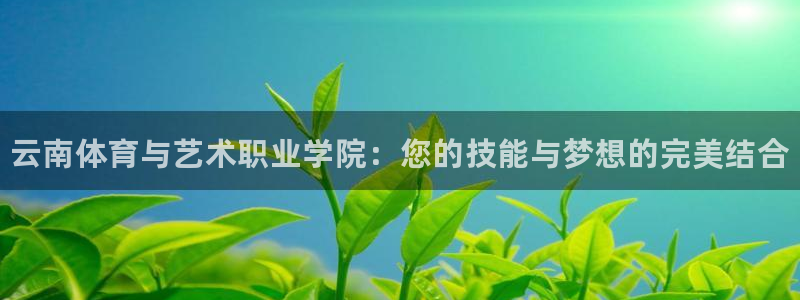 3377体育官网下载招商电话是多少