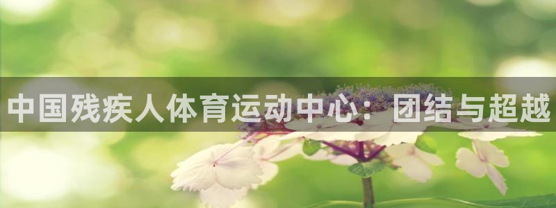 3377体育官方正版app科技：中国残疾人体育运动中