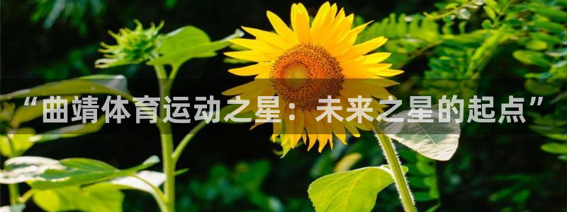 3377体育官网下载平台假的吗是真的吗