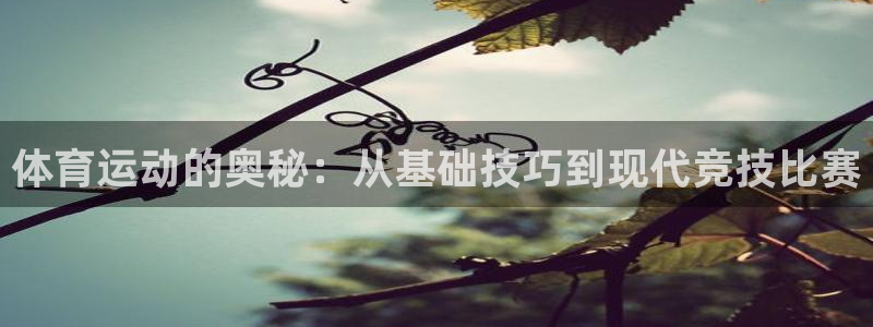 3377体育官方正版app娱乐网站：体育运动的奥秘：从基础技