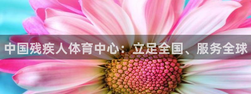 3377体育官方正版app集团