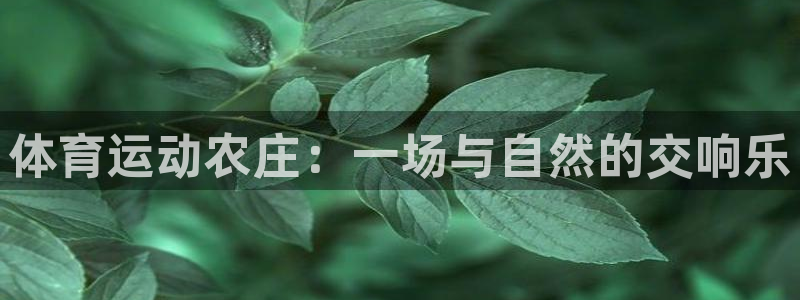 3377体育官网下载平台APP：体育运动农庄：一场与自然的交