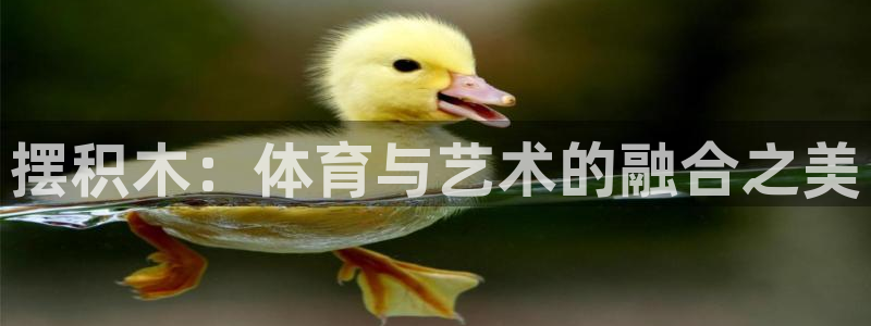 3377体育官方正版app科技：摆积木：体育与艺术的融合之美