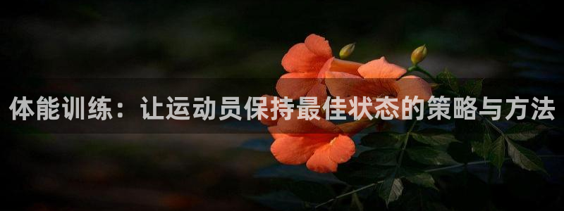3377体育官方正版app官方：体能训练：让运动员保持最佳状