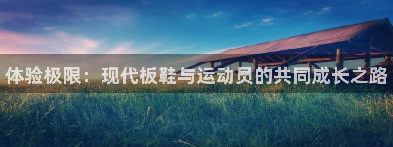 3377体育官网下载招商电话是多少号码：体验极限：现代板鞋与