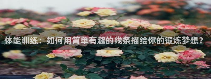 3377体育官方正版app科技：体能训练：如何用简单有趣的线