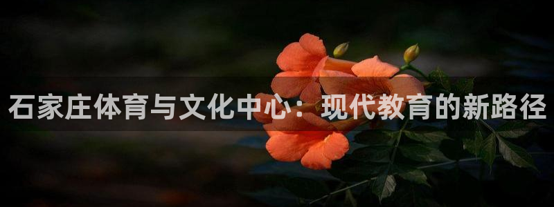 3377体育官网下载是干嘛的公司：石家庄体育与文化中