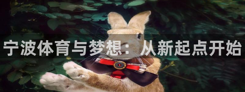 3377体育官网下载招商电话地址：宁波体育与梦想：从