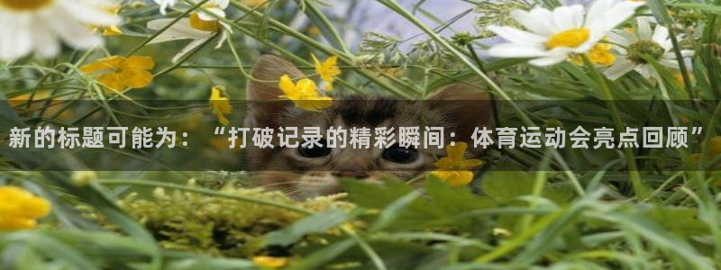 3377体育官方正版app娱乐40996：新的标题可能为：“