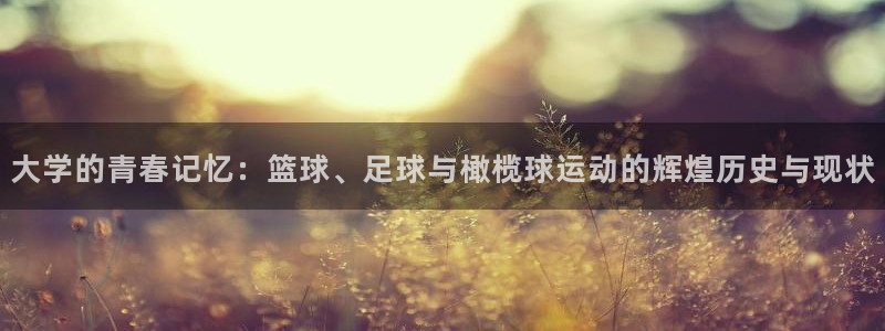 3377体育官网下载招商电话号码：大学的青春记忆：篮