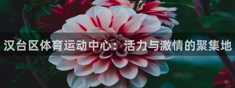 3377体育官网下载招商电话是多少：汉台区体育运动中