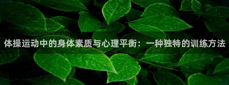 3377体育官方正版app开户：体操运动中的身体素质