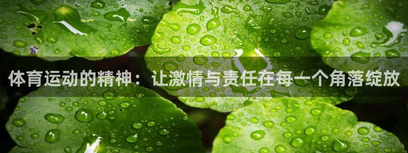 3377体育官方正版app娱乐40996：体育运动的