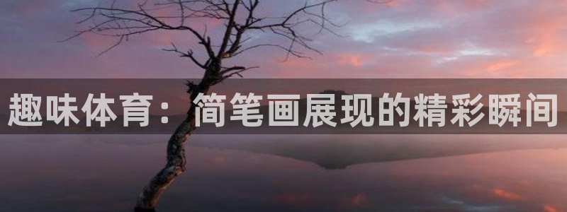 3377体育官方平台体育：趣味体育：简笔画展现的精彩