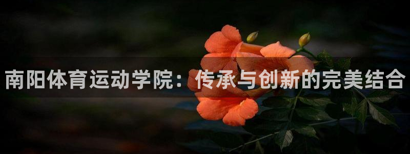 3377体育官方正版app娱乐40996