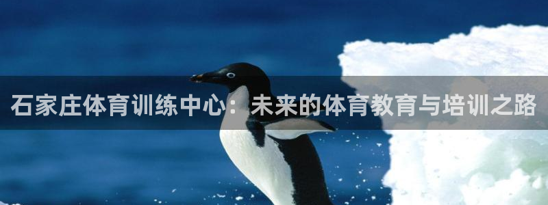 3377体育官网下载招商电话号码是多少啊