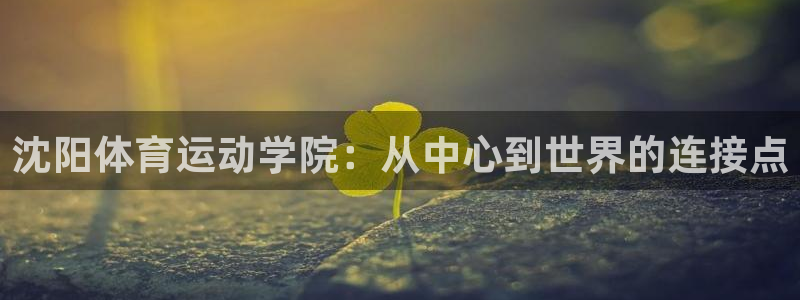 3377体育官方正版app科技