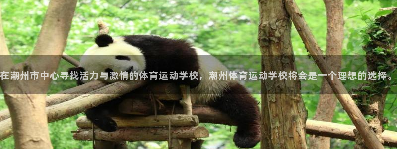 3377体育官网下载招商电话是多少号码