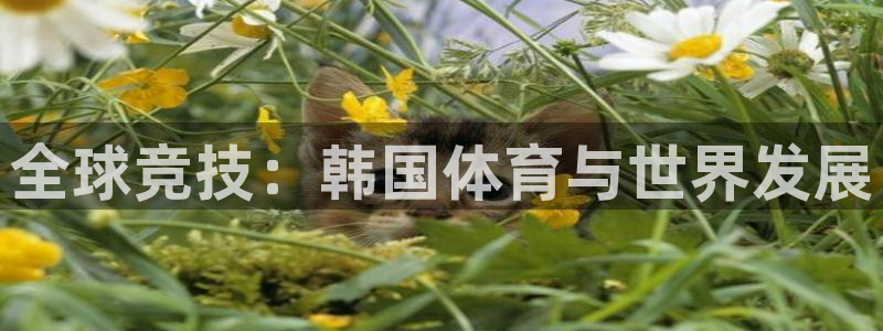 3377体育官方正版app集团官网首页：全球竞技：韩国体育与