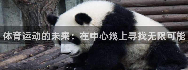 3377体育官方正版app娱乐首页官网下载