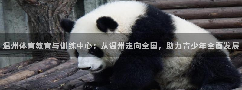 3377体育官方正版app集团简介：温州体育教育与训练中心：