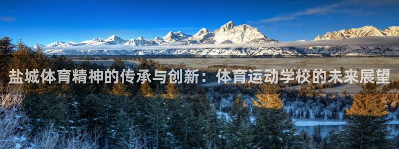 3377体育官方正版app开户：盐城体育精神的传承与创新：体