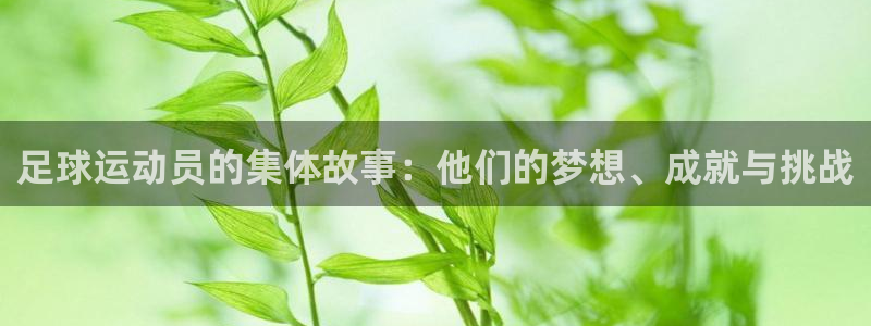 3377体育官方正版app代理：足球运动员的集体故事：他们的