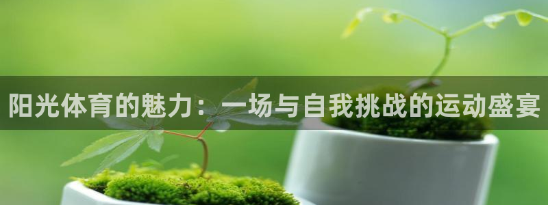 3377体育官方正版app集团官网首页网址：阳光体育