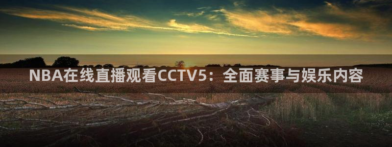 看球吧nba在线高清免费直播：NBA在线直播观看CCTV5：全面赛事与娱乐内容