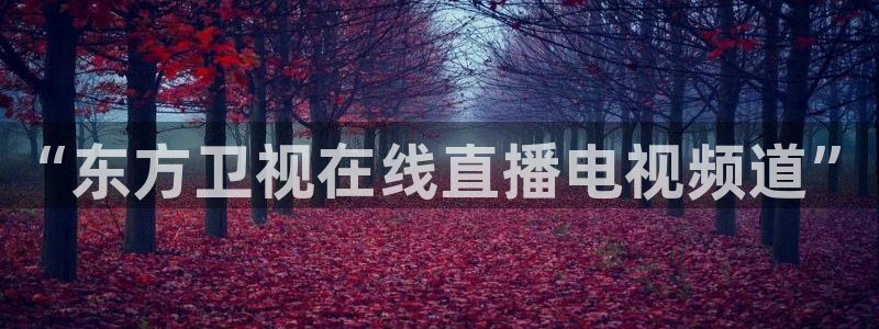 看球吧：“东方卫视在线直播电视频道”