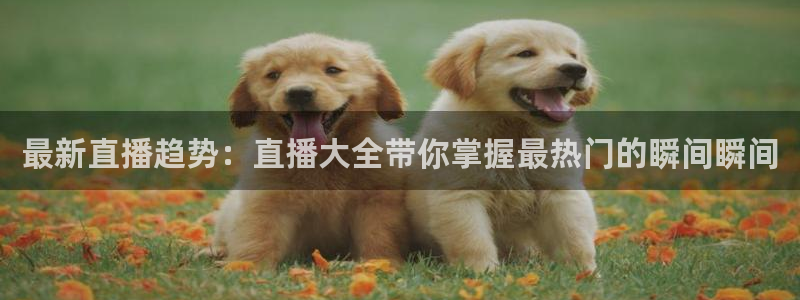 360免费直播超清 看球吧：最新直播趋势：直播大全带你掌握最热门的瞬间瞬间