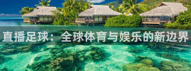 886直播看球吧：直播足球：全球体育与娱乐的新边界